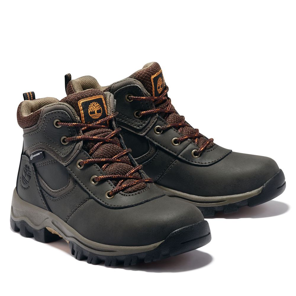 Botas de Montaña Timberland Niños Youth Mt. Maddsen Waterproof Marrones Oscuro - Chile UXN-589274